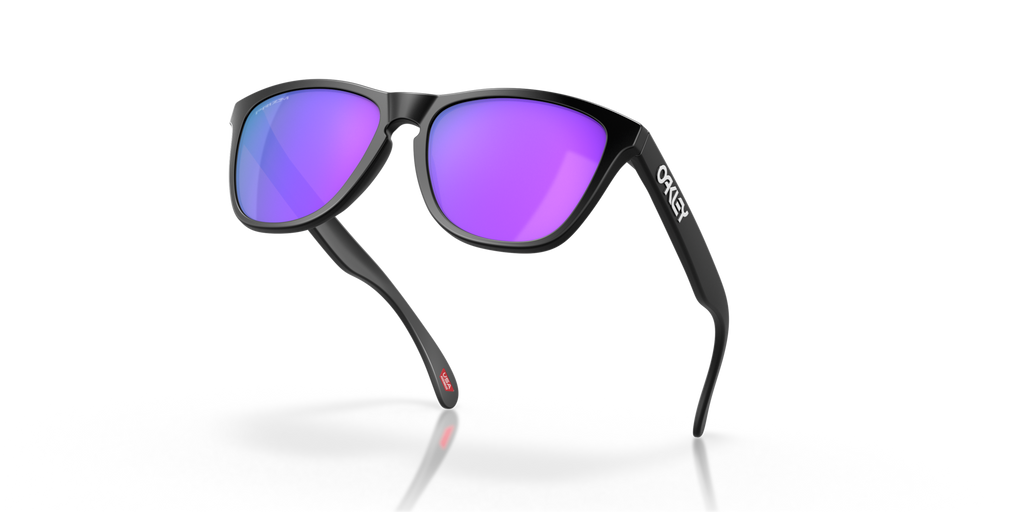 Gafas de Sol Oakley Frogskins™ OO9013 Negro Mate