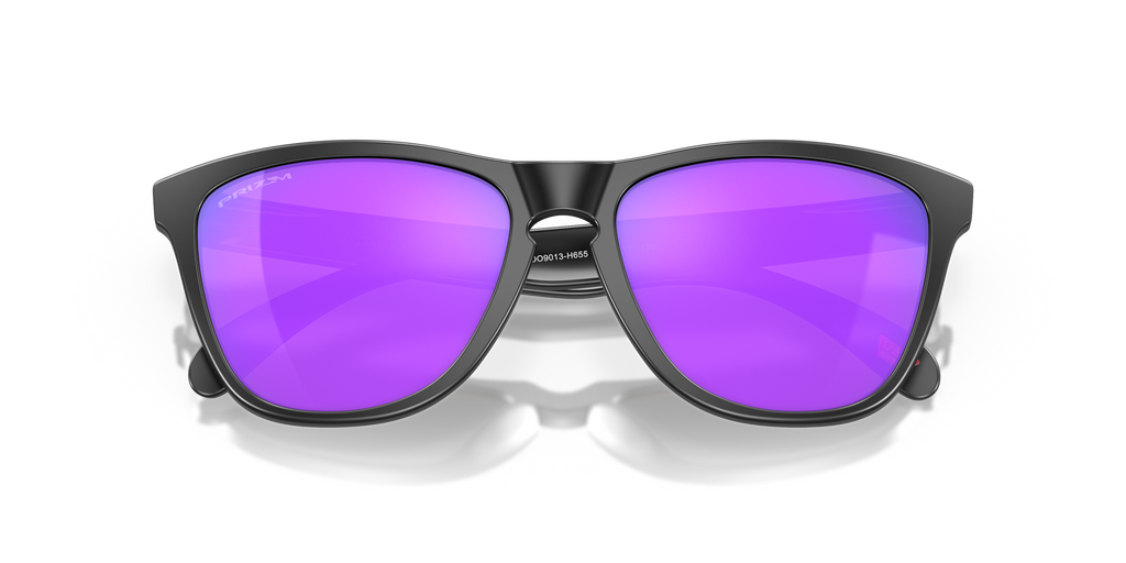 Gafas de Sol Oakley Frogskins™ OO9013 Negro Mate