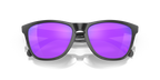 Gafas de Sol Oakley Frogskins™ OO9013 Negro Mate