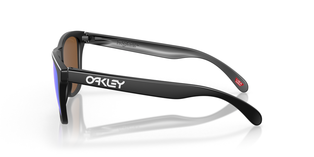 Gafas de Sol Oakley Frogskins™ OO9013 Negro Mate