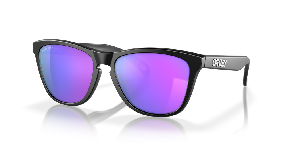 Gafas de Sol Oakley Frogskins™ OO9013 Negro Mate