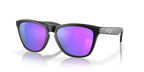 Gafas de Sol Oakley Frogskins™ OO9013 Negro Mate