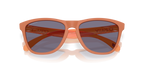 Gafas de Sol Oakley Frogskins™ OO9013 Matte Ginger