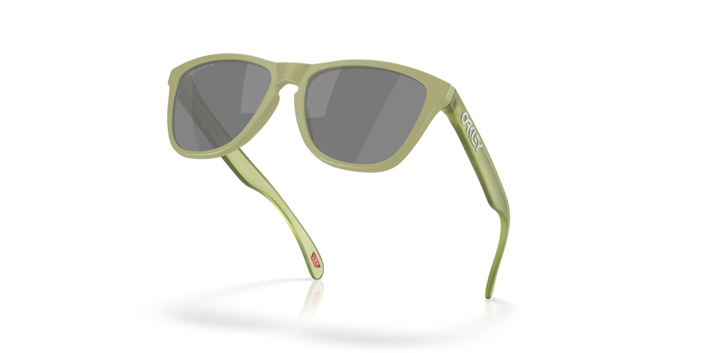 Gafas de Sol Oakley Frogskins™ OO9013 Helecho Mate