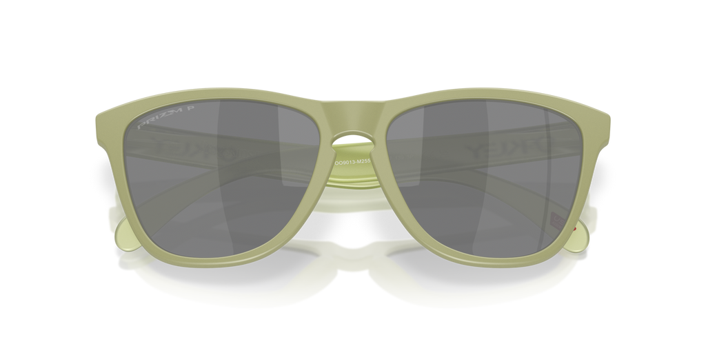Gafas de Sol Oakley Frogskins™ OO9013 Helecho Mate