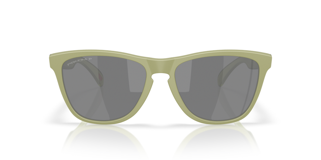 Gafas de Sol Oakley Frogskins™ OO9013 Helecho Mate