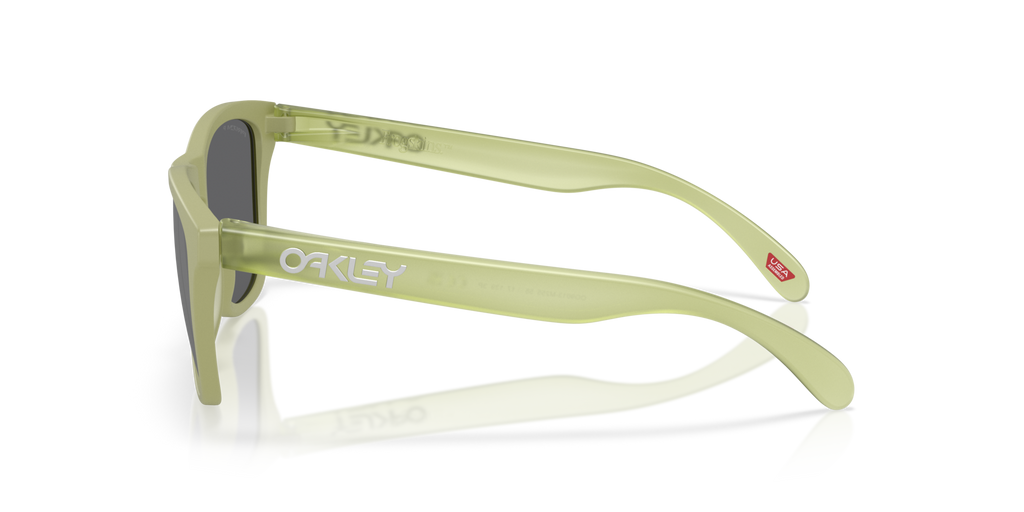 Gafas de Sol Oakley Frogskins™ OO9013 Helecho Mate