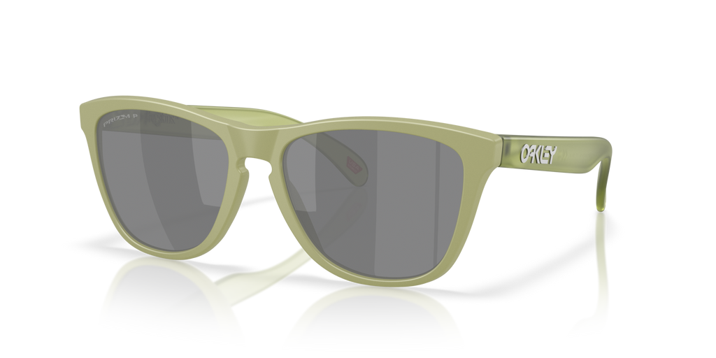 Gafas de Sol Oakley Frogskins™ OO9013 Helecho Mate