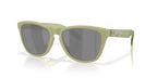 Gafas de Sol Oakley Frogskins™ OO9013 Helecho Mate