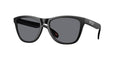 Gafas de Sol Oakley Frogskins™ OO9013 Negro Mate