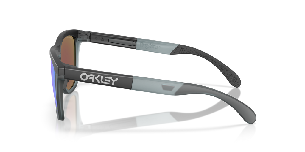 Gafas de Sol Oakley Frogskins™ Range OO9284 Negro Mate