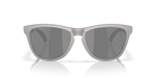 Gafas de Sol Oakley Frogskins™ Range Alloy Collection OO9284 Titanio