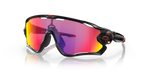 Gafas  Oakley  Jawbreaker oo9290 20