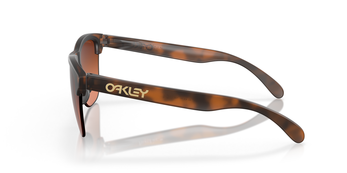 Gafas de Sol Oakley Frogskins™ Lite OO9374 Carey Marrón Mate