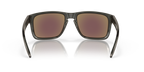 Gafas de Sol Oakley Holbrook™ XL OO9417 Gris Humo