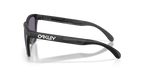Gafas de Sol Oakley Frogskins™ Range XL OO9503 Negro Mate