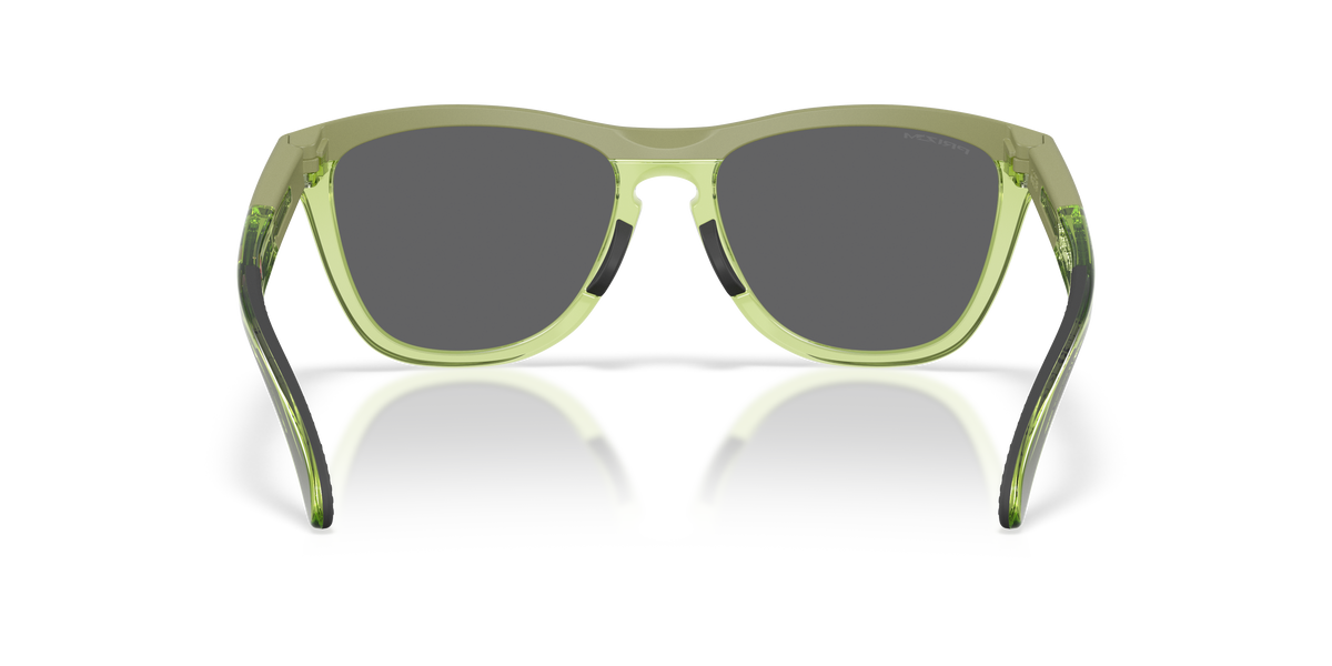 Gafas de Sol Oakley Frogskins™ Range XL OO9503 Helecho mate/helecho transparente