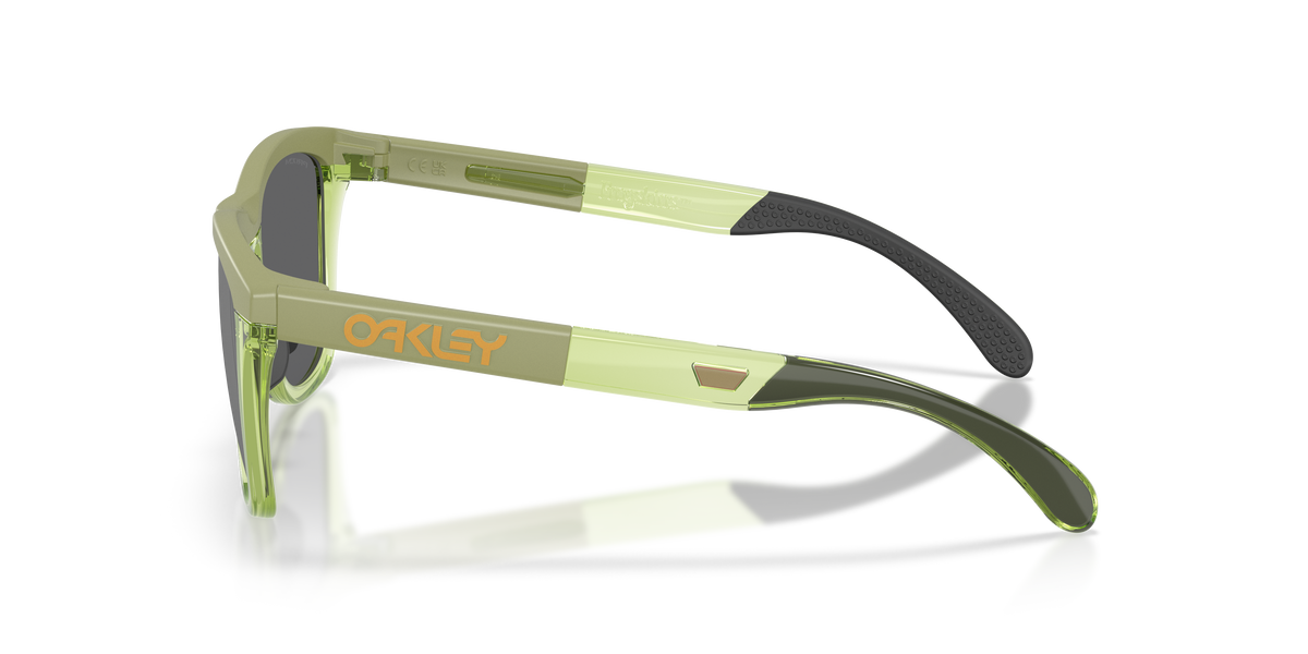 Gafas de Sol Oakley Frogskins™ Range XL OO9503 Helecho mate/helecho transparente