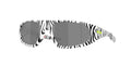 Gafas de Sol Oakley Neoforma OO9528 Bengal