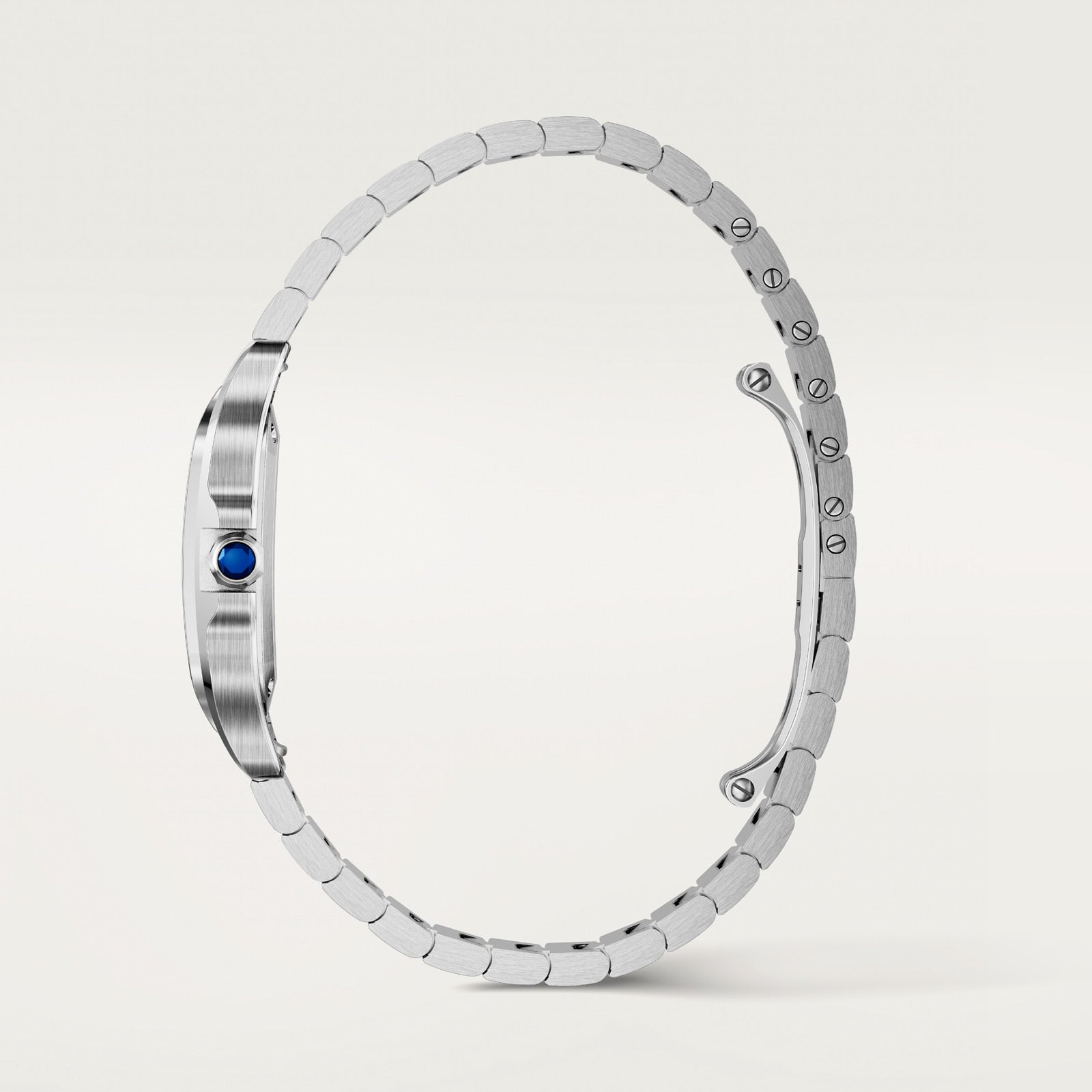 Reloj Cartier Santos de Cartier WSSA0082