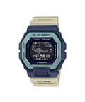GBX-100TT-2DR.jpeg