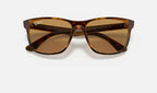 Ray-Ban RB4181 710/83 - detalle