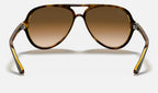 Ray-Ban RB4125 710/51 - vista posterior