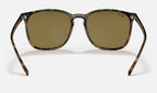 Ray-Ban RB4387 710/73 - vista posterior