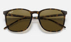 Ray-Ban RB4387 710/73 - detalle