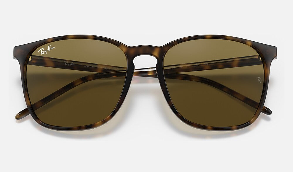 Ray-Ban RB4387 710/73 - detalle