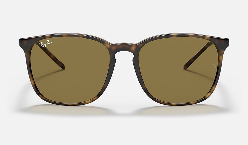 Ray-Ban RB4387 710/73 - vista frontal