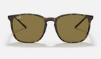 Ray-Ban RB4387 710/73 - vista frontal