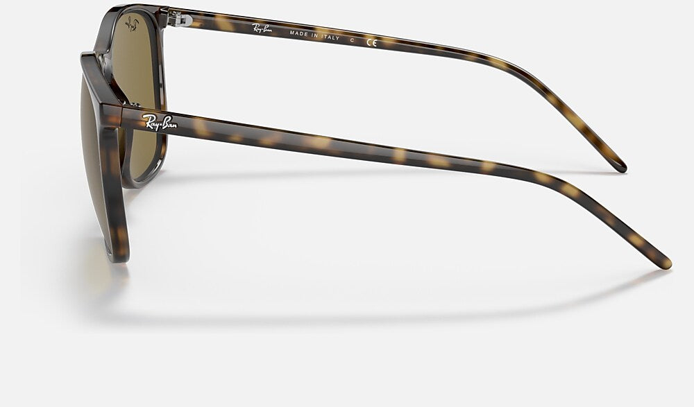 Ray-Ban RB4387 710/73 - vista lateral
