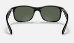 Ray-Ban RB4202 606971 - vista posterior