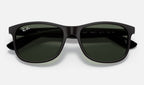 Ray-Ban RB4202 606971 - detalle