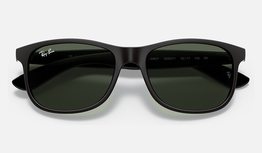 Ray-Ban RB4202 606971 - detalle
