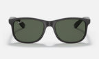 Ray-Ban RB4202 606971 - vista frontal