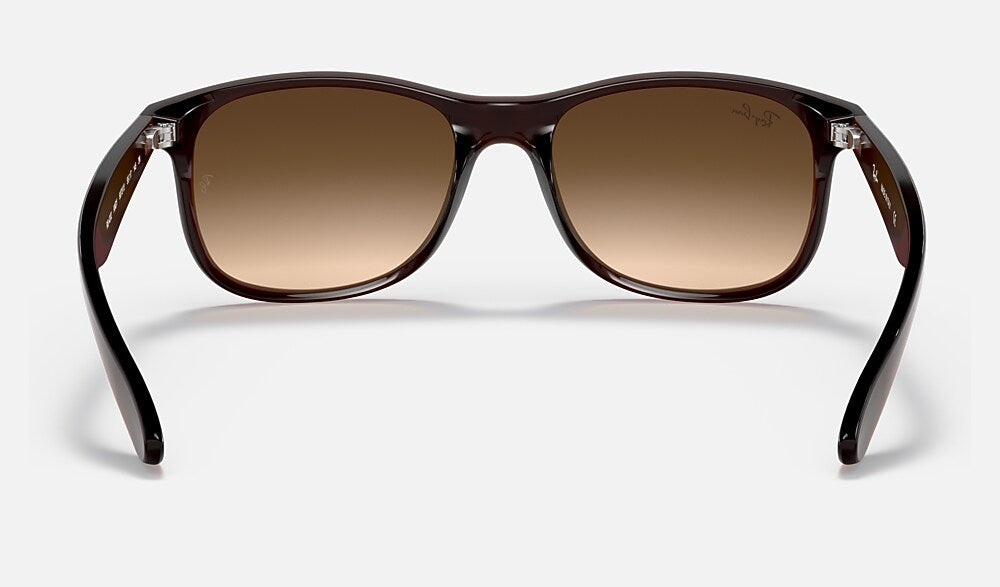 Ray-Ban RB4202 607313 - vista posterior