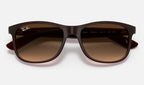 Ray-Ban RB4202 607313 - detalle