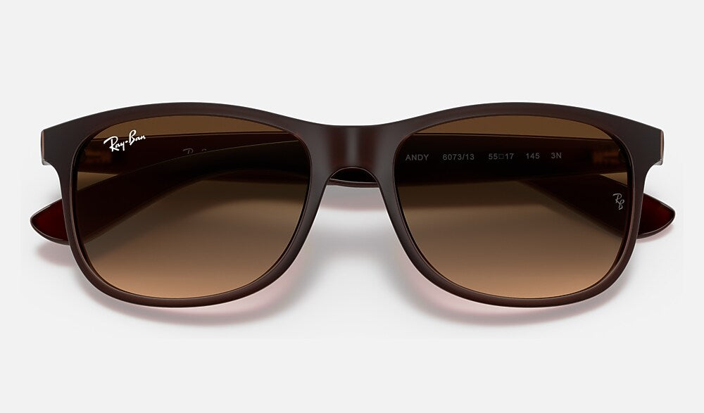 Ray-Ban RB4202 607313 - detalle