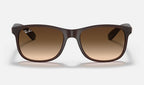 Ray-Ban RB4202 607313 - vista frontal