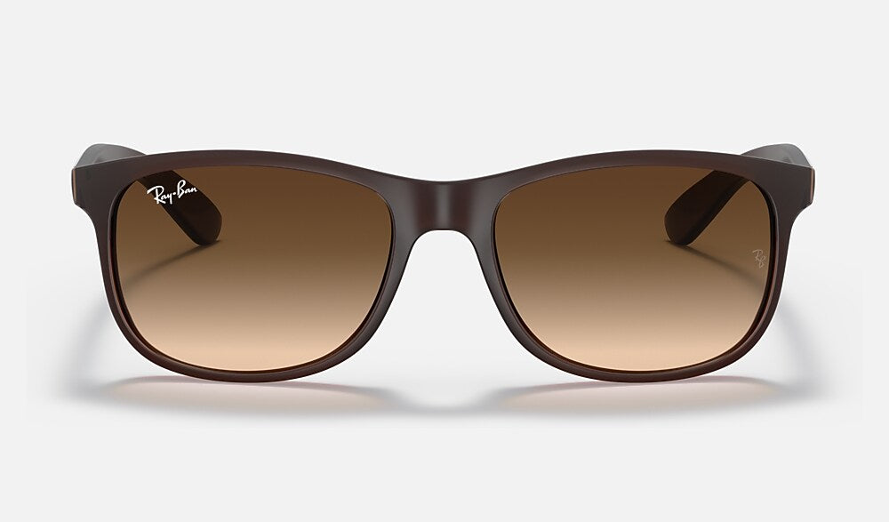Ray-Ban RB4202 607313 - vista frontal