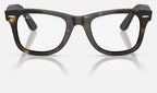 Ray-Ban 0RX4340V 2012 - vista frontal
