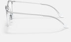Ray-Ban 0RX7140 2001 - vista lateral