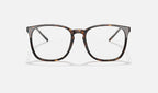 Ray-Ban 0RX5387 2012 - vista frontal