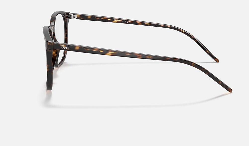 Ray-Ban 0RX5387 2012 - vista lateral