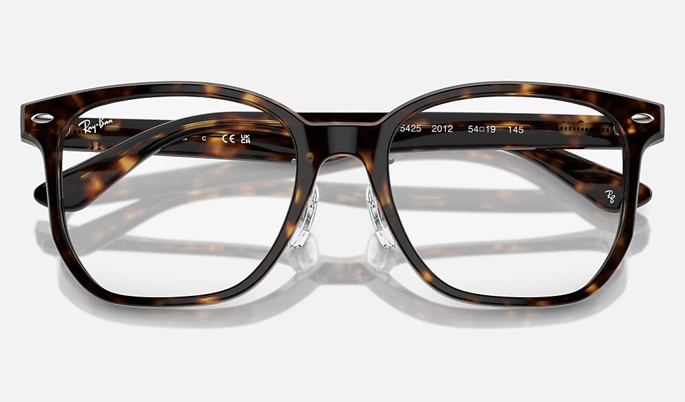 Ray-Ban 0RX5425D 2012 - detalle