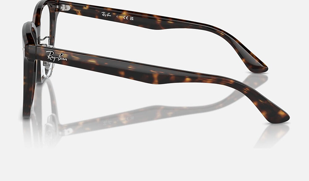 Ray-Ban 0RX5425D 2012 - vista lateral