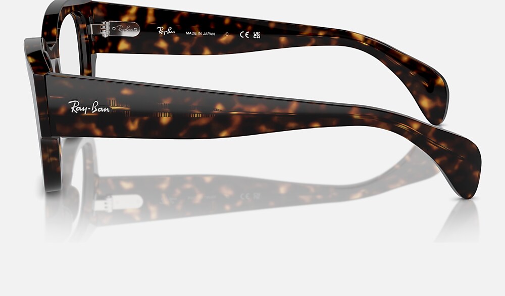 Ray-Ban 0RX7681V 2012 - vista lateral