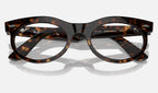 Ray-Ban 0RX2242V 2012 - detalle